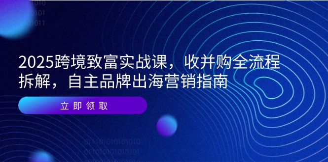 2025跨境致富实战课,收并购全流程拆解,自主品牌出海营销指南-数智网创