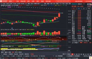 周公子·主力密码(更新6月)-数智网创