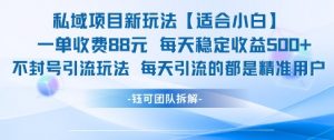 私域项目新玩法【适合小白】 一单收费88.每天稳定收益几张-数智网创