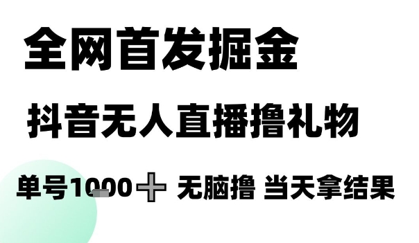 全网首发掘金抖音无人直播撸礼物，单号1k +无脑撸，当天拿结果【揭秘】-数智网创
