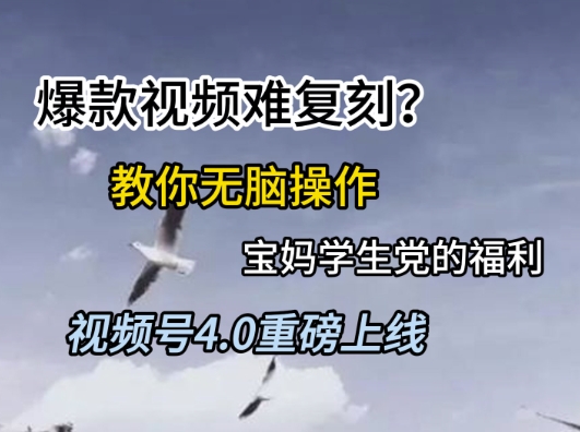 视频号4.0重磅上线，爆款视频难复刻？教你无脑操作宝妈学生党的福利【揭秘】-数智网创