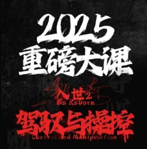 2025重磅大课，入世2，驾驭与控制-数智网创