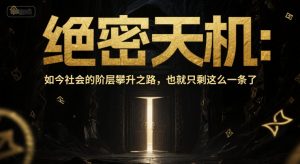 付费文章：绝密天机：如今社会的阶层攀升之路，也就只剩这么一条了-数智网创