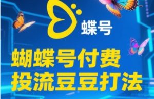 2025蝴蝶号付费投流豆豆打法，助新手快速掌握付费流量撬动自然流的核心玩法-数智网创
