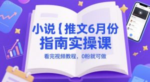 小说推文6月份指南实操课，看完视频教程，0粉就可做-数智网创