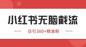 小红书截流同行客源，独家野路子获客玩法 日引200+暴力获客【揭秘】-数智网创