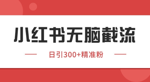 小红书截流同行客源，独家野路子获客玩法 日引200+暴力获客【揭秘】-数智网创