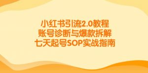 小红书引流2.0教程，账号诊断与爆款拆解，七天起号SOP实战指南-数智网创