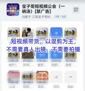 宝子哥头部团队短视频带货,以混剪为主,不需要真人出镜,不需要拍摄【更新】-数智网创