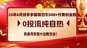 25年6月拼多多最新日引300+付费创业粉，0投流纯自热 卖课月变现六位数方法-数智网创