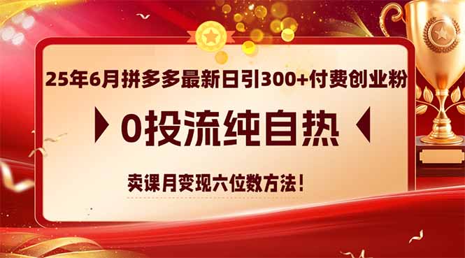 25年6月拼多多最新日引300+付费创业粉，0投流纯自热 卖课月变现六位数方法-数智网创