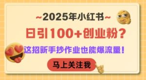 2025年小红书日引100+创业粉?这招新手抄作业也能爆流量!-数智网创