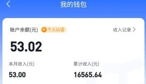 适合空闲时间操作的小红书低保项目，小红薯发布笔记，单个账号每天可获得2-12元左右-数智网创