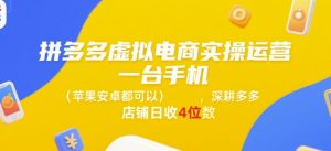 拼多多虚拟电商实操运营，一台手机(苹果安卓都可以)，深耕多多店铺日收4位数-数智网创