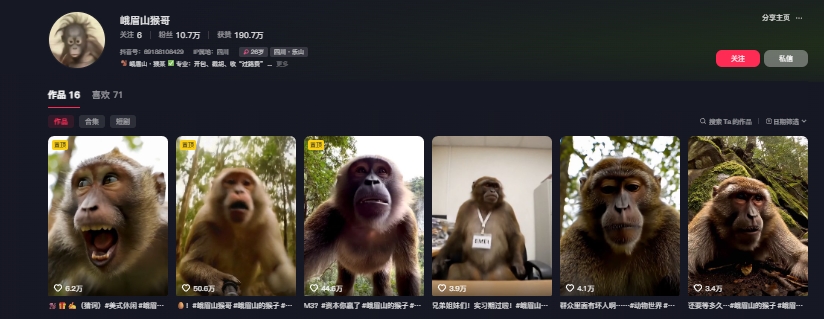 最新爆火的峨眉山猴子短视频制作教程，条条点赞10w+，谁做谁火【教程+提示词】-数智网创