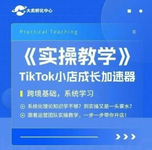 大卖家孵化中心TikTok实操课，TikTok小店成长加速器，跨境基础系统学习，一步一步带你开店-数智网创