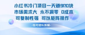 小红书冷门项目一天收益9张，市场需求大，0成本，可复制性强可以矩阵操作-数智网创