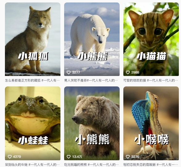 最新搞笑动物百科详细解说课程,蓝海赛道,流量非常大,轻松签独家进精选-数智网创