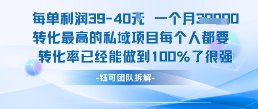 每单利润40一个月7k+转化最高的私域项目，每个人都要的产品转化率已经能做到100%-数智网创