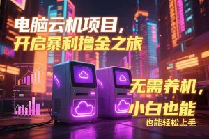 电脑云机项目 暴力撸金玩法，不需要养机 配置没有要求 单机100个窗口一...-数智网创