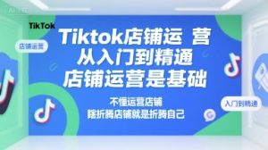 Tiktok店铺运营从入门到精通，店铺运营是基础，不懂运营店铺，瞎折腾店铺就是折腾自己-数智网创