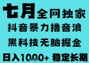 7月最新风口抖音无人直播撸音浪,长期稳定,非短期,全自动运行,低门槛无脑,日入1k+【揭秘】-数智网创