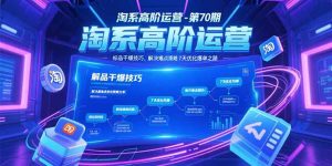 淘系高阶运营-第70期，标品干爆技巧，解决难点策略，大佬操盘方法-数智网创