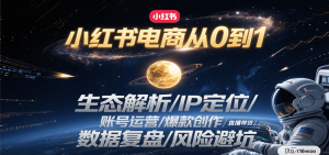 小红书电商从0到1：生态解析/IP定位/ 账号运营/爆款创作/直播带货/数据复盘/风险避坑-数智网创
