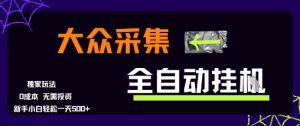 大众采集全自动玩法，新手小白轻松一天5张+，操作简单零成本【揭秘】-数智网创