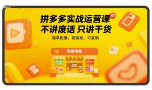 拼多多实战运营课，不讲废话只讲干货，简单粗暴，能落地，可复制-数智网创