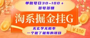淘系掘金挂G项目,单账号日收益30~100+,多号多得,一个做了就有的项目【揭秘】-数智网创