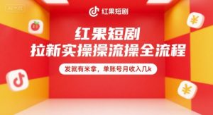 红果短剧拉新实操全流程，发就有米拿，单账号月收入几k-数智网创