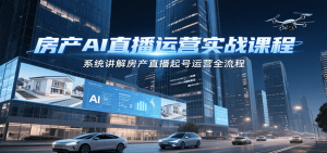 房产AI直播运营实战课程，系统讲解房产直播起号运营全流程-数智网创