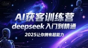 AI获客训练营，deepseek入门到精通，2025让你拥有超能力-数智网创