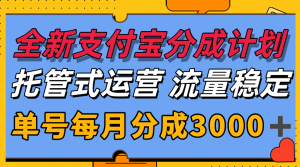 全新支付宝分成代运营，独家技术，收益稳定，单号月入3000＋-数智网创