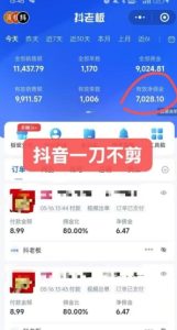 抖音短视频一刀不剪带货,不剪辑,不直播,每天发个视频,等着出单获取带货佣金-数智网创