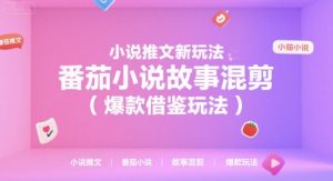 小说推文新玩法，番茄小说故事混剪(爆款借鉴玩法)-数智网创