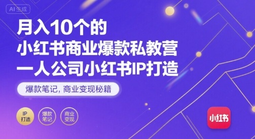 月入10个的小红书商业爆款私教营，一人公司小红书IP打造，爆款笔记，商业变现秘籍-数智网创