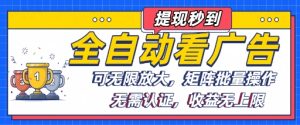 全自动看广告项目,可无限放大,可矩阵批量操作-数智网创