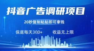 抖音广告调研项目，只需复制粘贴广告即可挣钱，任务不限量，一天稳定3张-数智网创
