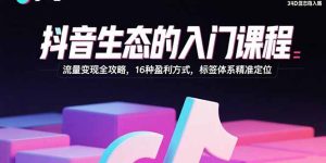 抖音生态的入门课程：流量变现全攻略，16种盈利方式，标签体系精准定位-数智网创