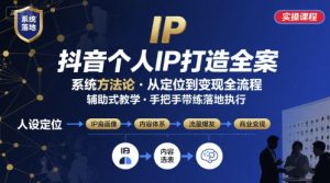 抖音个人IP系统落地实操大课，实操课程，辅助落地-数智网创