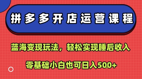 拼多多开店运营课程：蓝海变现玩法，轻松实现睡后收入，零基础小白也可日入5张-数智网创