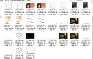 『高端精品』最新公主号无水印下载工具，图片 视频 音频 无脑小白一键下载-数智网创
