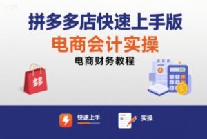 拼多多店快速上手版电商会计实操-电商财务教程-数智网创