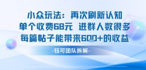 小众玩法再次刷新认知单个收费68米进群人数很多每篇帖子能带来6张的收益-数智网创