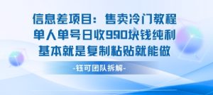信息差项目：售卖冷门教程单人单号日收9张纯利基本就是复制粘贴就能做-数智网创