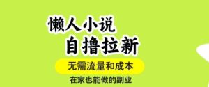 懒人小说自撸拉新，无需流量，一个账号一条作品就可以打爆收益，在家也能轻松做的副业【揭秘】-数智网创