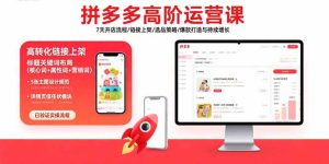 拼多多高阶运营课：7天开店流程/链接上架/选品策略/爆款打造与持续增长-数智网创