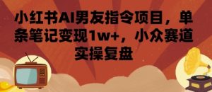 小红书AI男友指令项目，单条笔记变现1w+，小众赛道实操复盘-数智网创